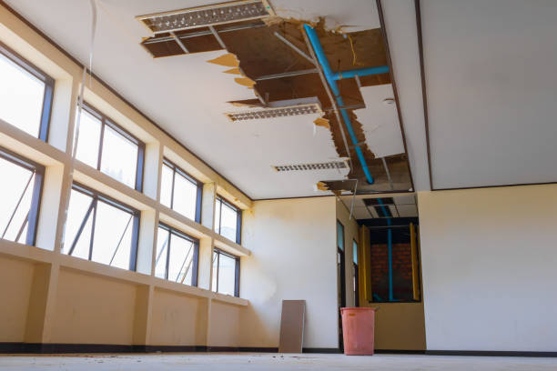 Best Flooded house restoration  in Homer, AK