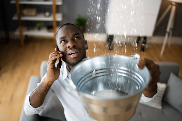 Best Water damage contractors near me  in Homer, AK