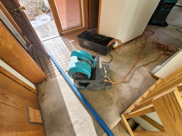 Best Fire Damage Restoration  in Homer, AK