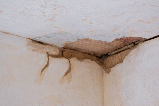 Best Water damage restoration specialists  in Homer, AK