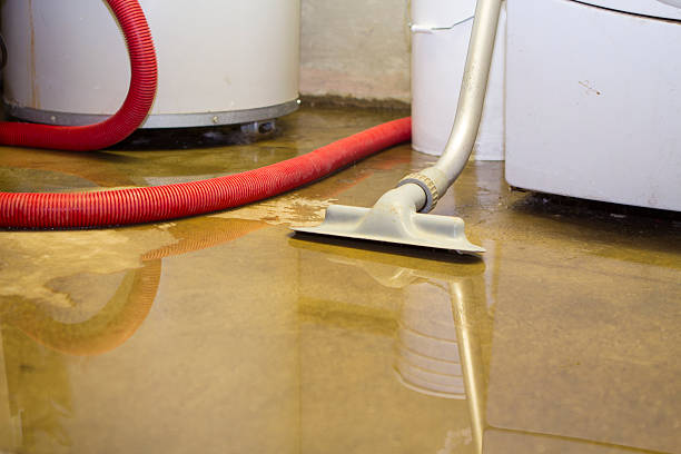 Best Professional water damage repair  in Homer, AK