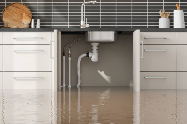 Water damage restoration insurance claims in AK