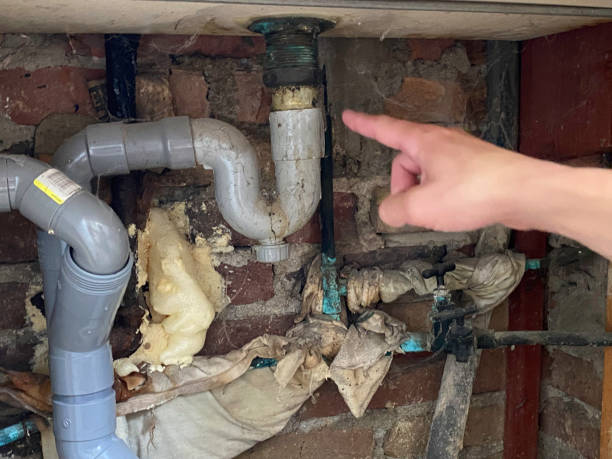 Best Water damage restoration near me  in Homer, AK